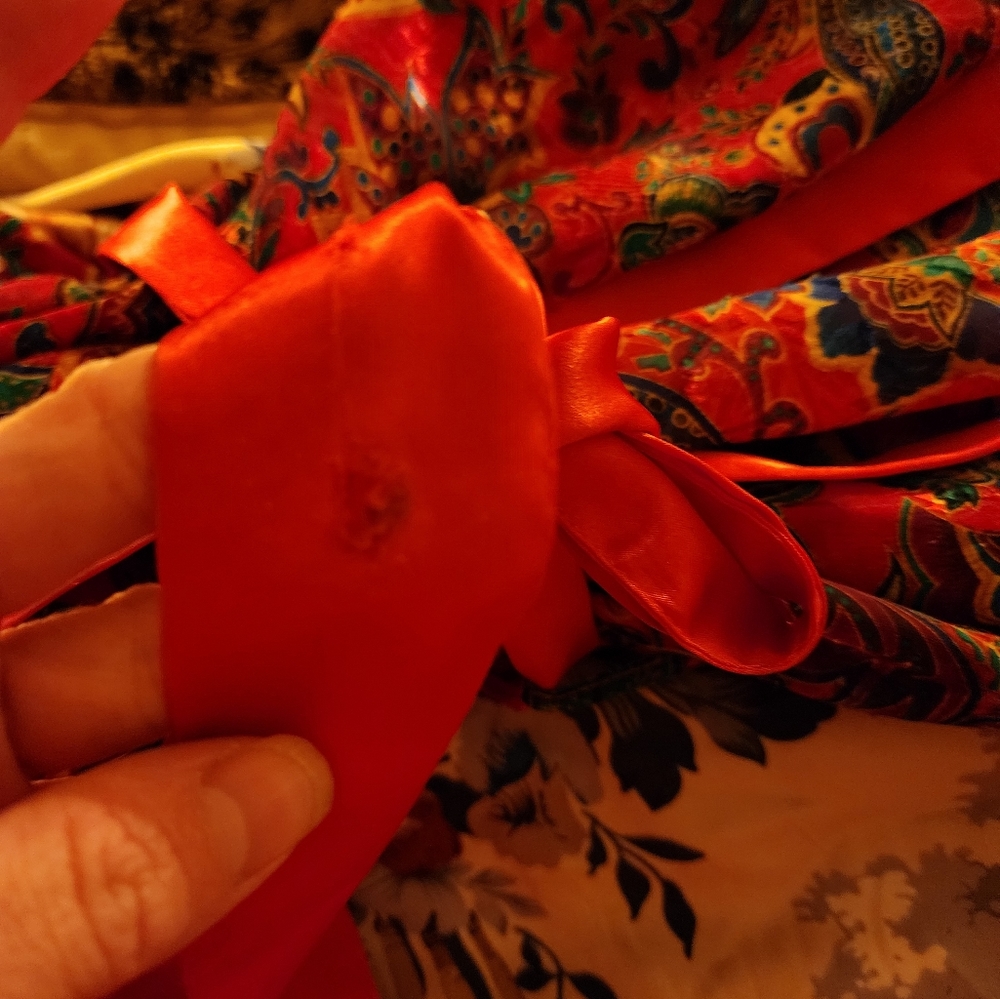 Vintage Inner Most Robe - Picture 4 of 5